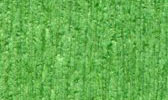 Plants: